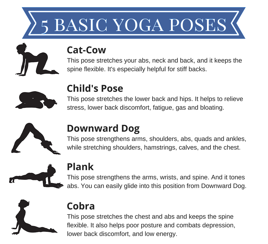 Yoga: A guide for beginners - SilverSneakers