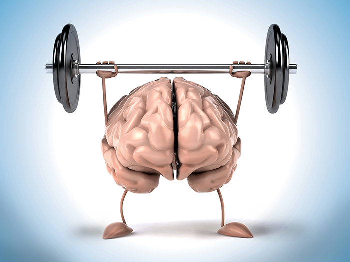 Image result for adult human brain WITH DUMBBELLS